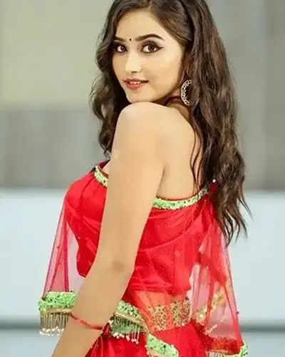Call Girls Service Mankachar